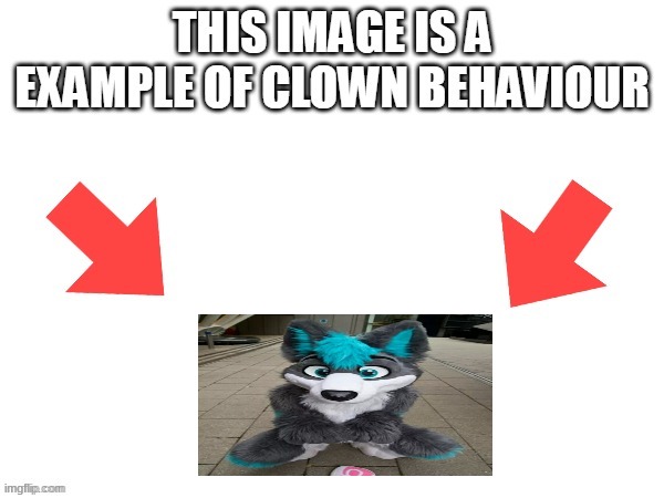 I don't mean the funny meaning of course. | image tagged in this image is a example of clown behaviour | made w/ Imgflip meme maker