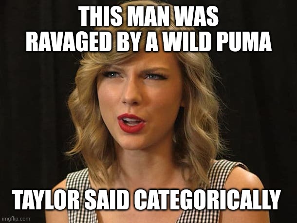 Taylor said categorically | THIS MAN WAS RAVAGED BY A WILD PUMA; TAYLOR SAID CATEGORICALLY | image tagged in taylor swiftie | made w/ Imgflip meme maker