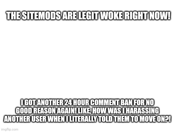 THIS IS BULLSHIT! | THE SITEMODS ARE LEGIT WOKE RIGHT NOW! I GOT ANOTHER 24 HOUR COMMENT BAN FOR NO GOOD REASON AGAIN! LIKE, HOW WAS I HARASSING ANOTHER USER WHEN I LITERALLY TOLD THEM TO MOVE ON?! | image tagged in rant | made w/ Imgflip meme maker