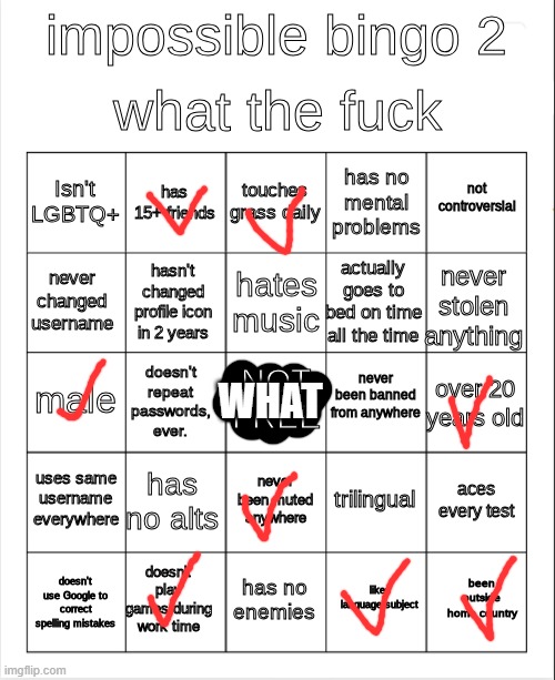 i've stolen some shit >:3 | WHAT | image tagged in impossible bingo 2 | made w/ Imgflip meme maker