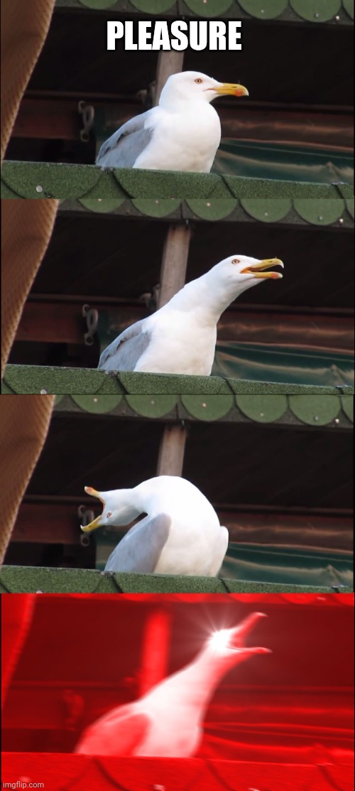 Inhaling Seagull | PLEASURE | image tagged in memes,inhaling seagull | made w/ Imgflip meme maker