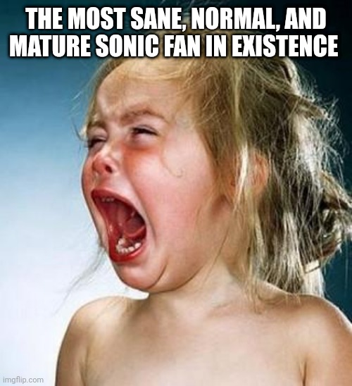 The Average Sonic Fan | THE MOST SANE, NORMAL, AND MATURE SONIC FAN IN EXISTENCE | image tagged in sonic,sonic the hedgehog,sonic fans,sonic fandom,spoiled brat,autism | made w/ Imgflip meme maker