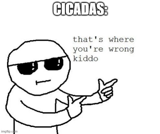 That's where you're wrong kiddo | CICADAS: | image tagged in that's where you're wrong kiddo | made w/ Imgflip meme maker