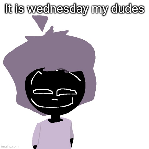Grinning goober | It is wednesday my dudes | image tagged in grinning goober | made w/ Imgflip meme maker