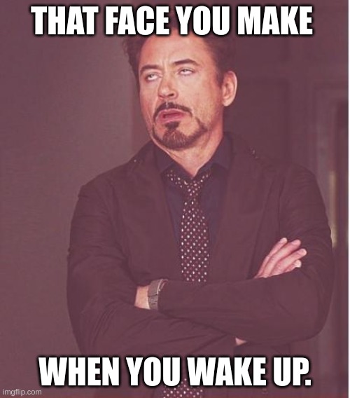 Face You Make Robert Downey Jr | THAT FACE YOU MAKE; WHEN YOU WAKE UP. | image tagged in memes,face you make robert downey jr | made w/ Imgflip meme maker