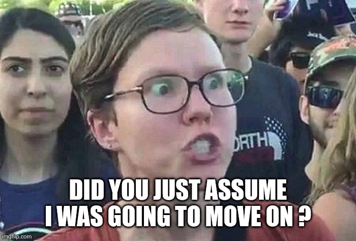 Triggered Liberal | DID YOU JUST ASSUME I WAS GOING TO MOVE ON ? | image tagged in triggered liberal | made w/ Imgflip meme maker