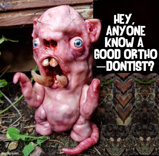 Toofers Fangdella needs a Dental Referral | HEY, 
ANYONE
KNOW A 
GOOD ORTHO
   DONTIST? — | image tagged in vince vance,cursed image,orthodontist,fangs,memes,horror | made w/ Imgflip meme maker