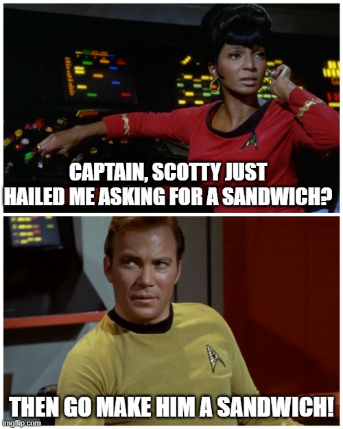 Sandwich | CAPTAIN, SCOTTY JUST HAILED ME ASKING FOR A SANDWICH? THEN GO MAKE HIM A SANDWICH! | image tagged in star trek hailing | made w/ Imgflip meme maker