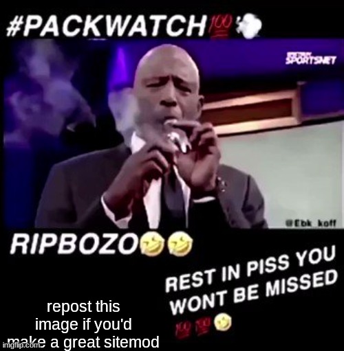 Rest in piss you won't be missed | repost this image if you'd make a great sitemod | image tagged in rest in piss you won't be missed | made w/ Imgflip meme maker