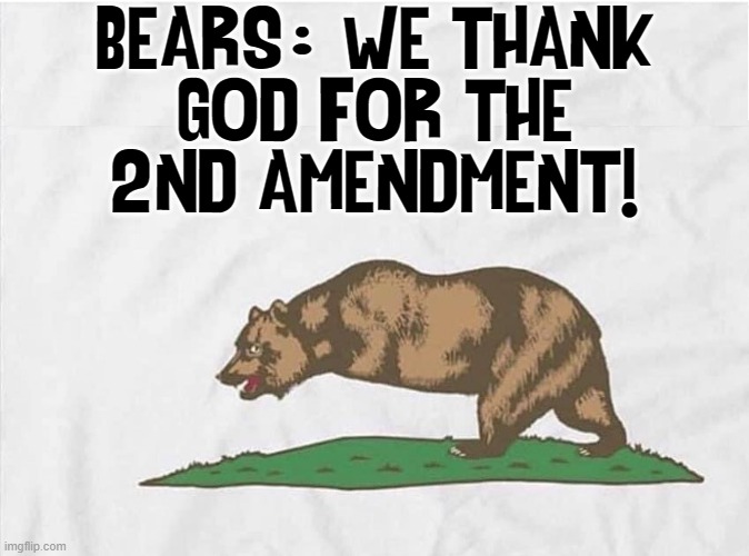 BEARS:   WE THANK
 GOD FOR THE 
2ND AMENDMENT! : | made w/ Imgflip meme maker