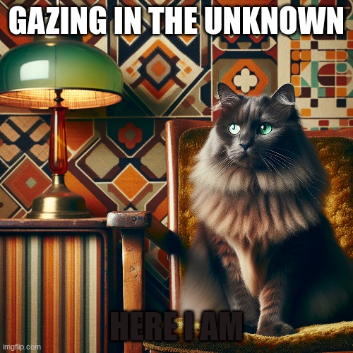 GAZING IN THE UNKNOWN; HERE I AM | image tagged in education | made w/ Imgflip meme maker