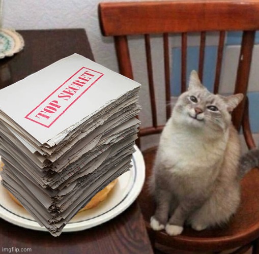 Cat likes their waffle | image tagged in cat likes their waffle | made w/ Imgflip meme maker