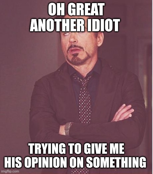 Idiot | OH GREAT ANOTHER IDIOT; TRYING TO GIVE ME HIS OPINION ON SOMETHING | image tagged in memes,face you make robert downey jr,funny memes | made w/ Imgflip meme maker