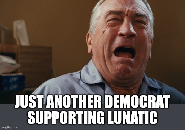 Its over......bibby | JUST ANOTHER DEMOCRAT SUPPORTING LUNATIC | image tagged in crying robert de niro | made w/ Imgflip meme maker