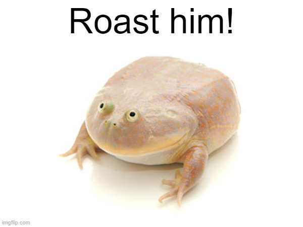 Let's see how powerful some people are. | Roast him! | image tagged in roast,frog,funni,lmao | made w/ Imgflip meme maker
