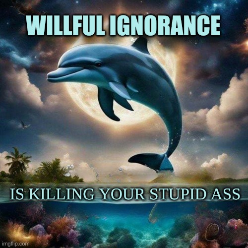 WILLFUL IGNORANCE; IS KILLING YOUR STUPID ASS | image tagged in ignorance,stupidity,special kind of stupid,human stupidity,what if i told you,dolphin | made w/ Imgflip meme maker