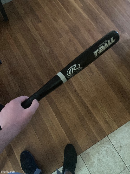 YOU CANT CONVINCE ME TO NOT USE MY BAT | made w/ Imgflip meme maker