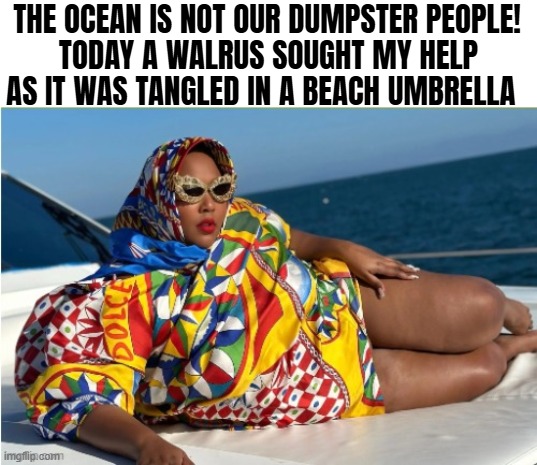 I couldn't help but using it again :D | THE OCEAN IS NOT OUR DUMPSTER PEOPLE! TODAY A WALRUS SOUGHT MY HELP AS IT WAS TANGLED IN A BEACH UMBRELLA | image tagged in lizzo,funny | made w/ Imgflip meme maker