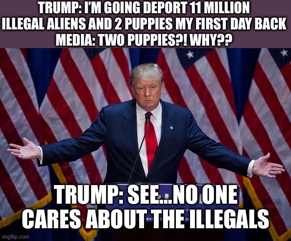 Donald Trump | TRUMP: I’M GOING DEPORT 11 MILLION ILLEGAL ALIENS AND 2 PUPPIES MY FIRST DAY BACK
MEDIA: TWO PUPPIES?! WHY?? TRUMP: SEE…NO ONE CARES ABOUT THE ILLEGALS | image tagged in donald trump | made w/ Imgflip meme maker