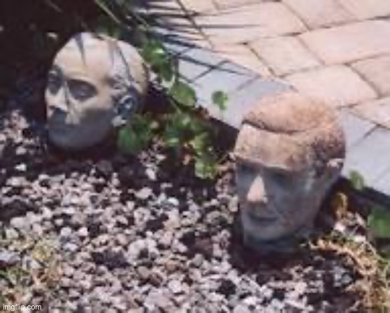 The Ancient heads, Guardians of the Floridian Household | made w/ Imgflip meme maker