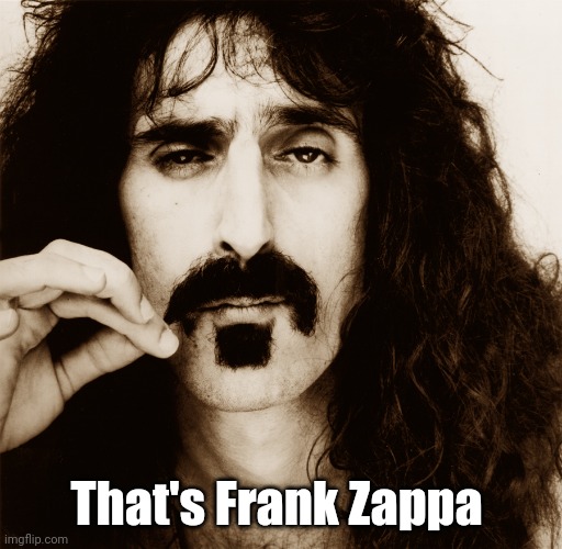 Frank Zappa | That's Frank Zappa | image tagged in frank zappa | made w/ Imgflip meme maker
