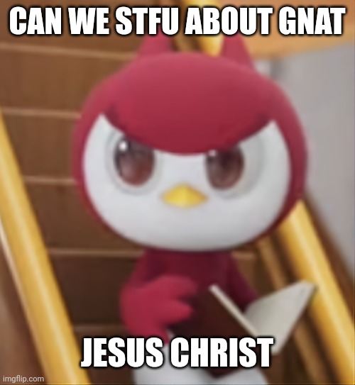 BOOK ❗️ | CAN WE STFU ABOUT GNAT; JESUS CHRIST | image tagged in book | made w/ Imgflip meme maker