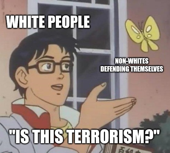 Guess which race is the only race to have committed genocide against everyone else | WHITE PEOPLE; NON-WHITES DEFENDING THEMSELVES; "IS THIS TERRORISM?" | image tagged in memes,is this a pigeon | made w/ Imgflip meme maker