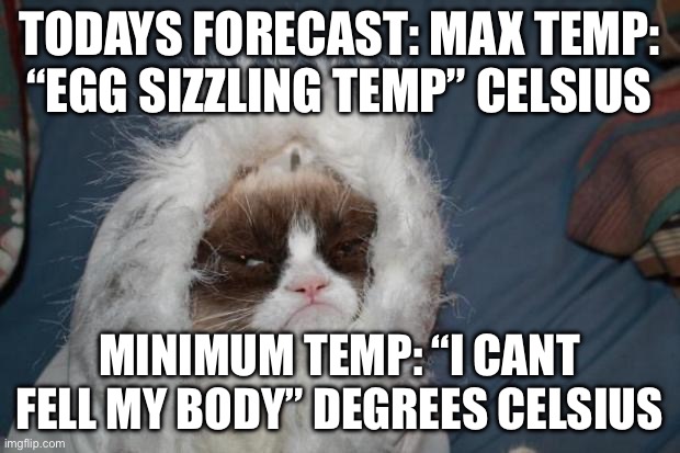 What’s it like in Oymyakonsky District | TODAYS FORECAST: MAX TEMP: “EGG SIZZLING TEMP” CELSIUS; MINIMUM TEMP: “I CANT FELL MY BODY” DEGREES CELSIUS | image tagged in cold grumpy cat | made w/ Imgflip meme maker