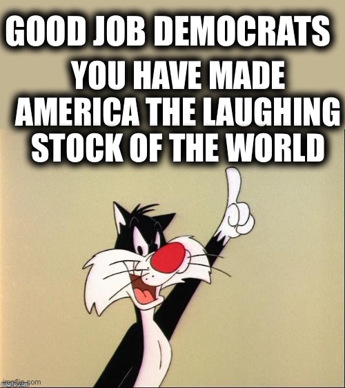 Touche’ | GOOD JOB DEMOCRATS; YOU HAVE MADE AMERICA THE LAUGHING STOCK OF THE WORLD | image tagged in touche,douchebags,tds morons | made w/ Imgflip meme maker