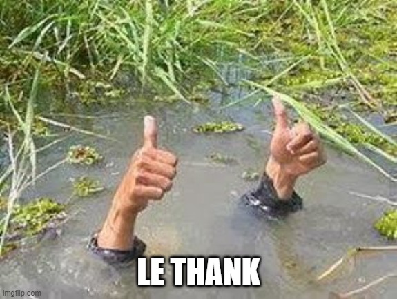 FLOODING THUMBS UP | LE THANK | image tagged in flooding thumbs up | made w/ Imgflip meme maker