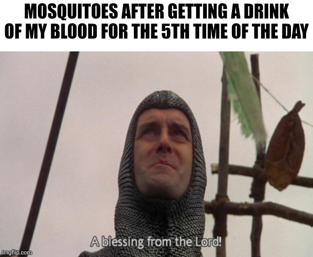 Blood from the lord | MOSQUITOES AFTER GETTING A DRINK OF MY BLOOD FOR THE 5TH TIME OF THE DAY | image tagged in a blessing from the lord,memes,funny,mosquito,a random meme | made w/ Imgflip meme maker