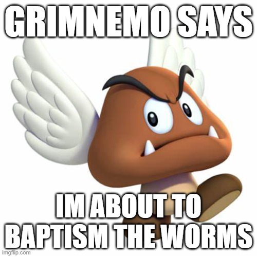 GrimNemo anouncement template | GRIMNEMO SAYS; IM ABOUT TO BAPTISM THE WORMS | image tagged in grimnemo anouncement template | made w/ Imgflip meme maker