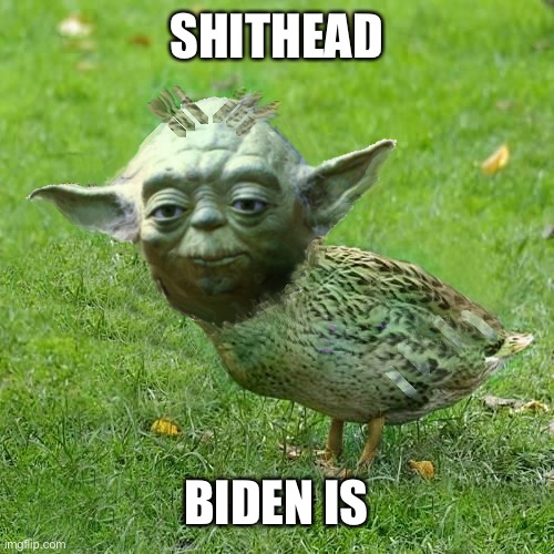 Yoda Duck | SHITHEAD BIDEN IS | image tagged in yoda duck | made w/ Imgflip meme maker