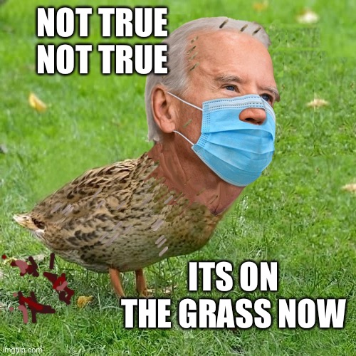 Joe BidenDuck | NOT TRUE NOT TRUE ITS ON THE GRASS NOW | image tagged in joe bidenduck | made w/ Imgflip meme maker