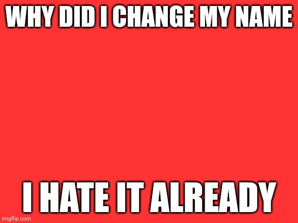 I wanna change my username now | WHY DID I CHANGE MY NAME; I HATE IT ALREADY | made w/ Imgflip meme maker