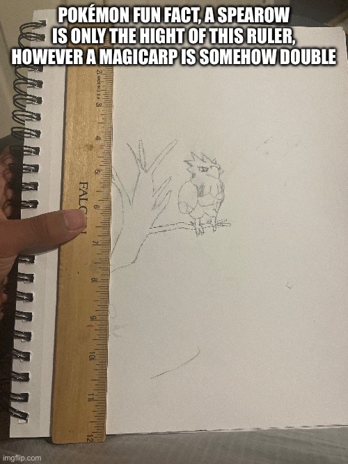 POKÉMON FUN FACT, A SPEAROW IS ONLY THE HIGHT OF THIS RULER, HOWEVER A MAGICARP IS SOMEHOW DOUBLE | made w/ Imgflip meme maker