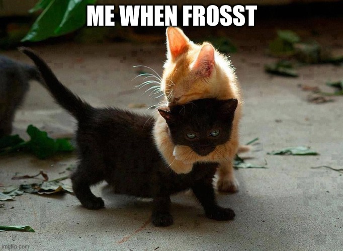 kitten hug | ME WHEN FROSST | image tagged in kitten hug | made w/ Imgflip meme maker
