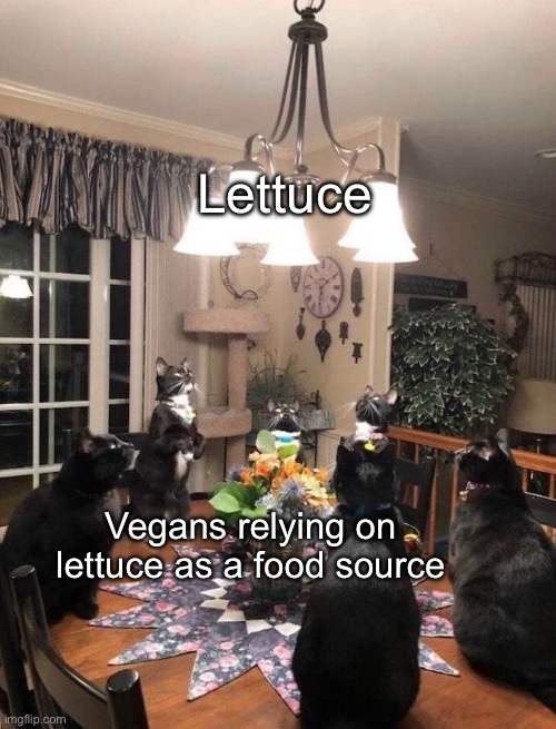 Lettuce Vegans relying on lettuce as a food source | image tagged in we shall meet under the full light | made w/ Imgflip meme maker
