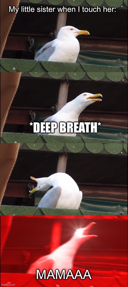 Inhaling Seagull | My little sister when I touch her:; *DEEP BREATH*; MAMAAA | image tagged in memes,inhaling seagull | made w/ Imgflip meme maker