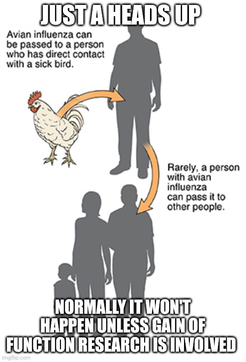 Bird flu | JUST A HEADS UP; NORMALLY IT WON'T HAPPEN UNLESS GAIN OF FUNCTION RESEARCH IS INVOLVED | image tagged in plandemic | made w/ Imgflip meme maker