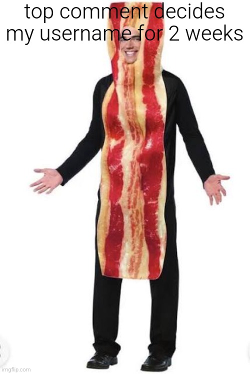Bacon Suit | top comment decides my username for 2 weeks | image tagged in bacon suit | made w/ Imgflip meme maker