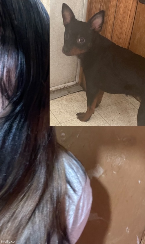 guys I match my dawg | made w/ Imgflip meme maker