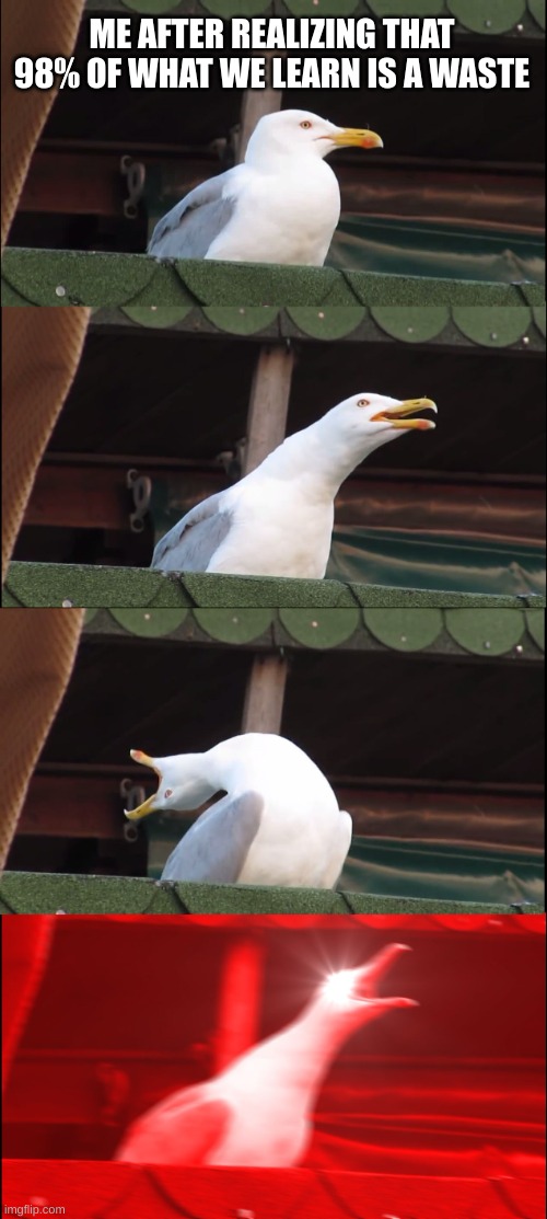 Inhaling Seagull | ME AFTER REALIZING THAT 98% OF WHAT WE LEARN IS A WASTE | image tagged in memes,inhaling seagull | made w/ Imgflip meme maker