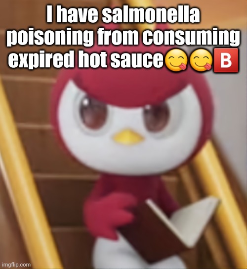 BOOK ❗️ | I have salmonella poisoning from consuming expired hot sauce😋😋🅱️ | image tagged in book | made w/ Imgflip meme maker