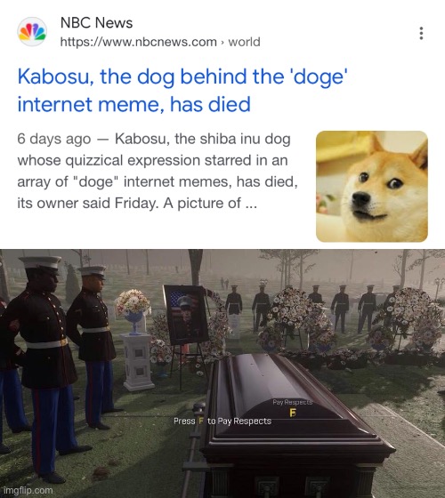 May kabosu join cheems in heaven | image tagged in press f to pay respects,doge,rip | made w/ Imgflip meme maker