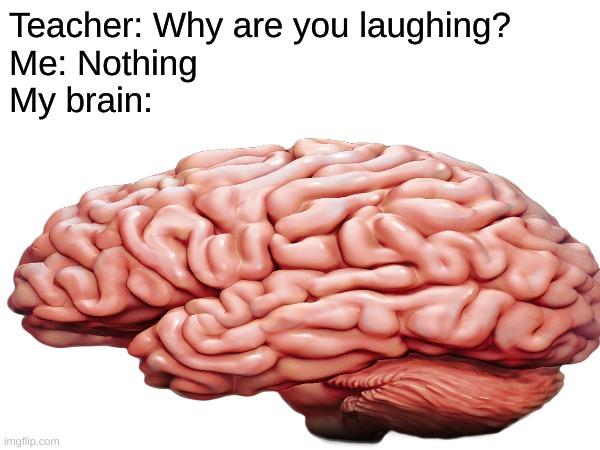 my brain | Teacher: Why are you laughing?
Me: Nothing
My brain: | image tagged in teacher what are you laughing at,my brain,antimeme,real | made w/ Imgflip meme maker