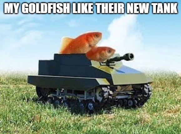 memes by Brad - My goldfish like their new tank - humor | MY GOLDFISH LIKE THEIR NEW TANK | image tagged in funny,fun,goldfish,tank,funny meme,humor | made w/ Imgflip meme maker