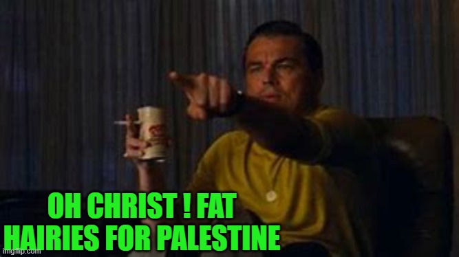 nope | OH CHRIST ! FAT HAIRIES FOR PALESTINE | image tagged in democrats | made w/ Imgflip meme maker