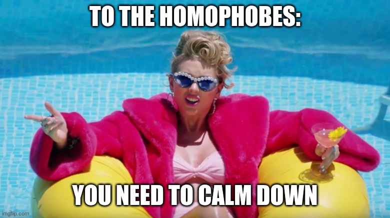 You Need to Calm Down | TO THE HOMOPHOBES:; YOU NEED TO CALM DOWN | image tagged in taylor swift calm down,taylor swift,gay,gay pride,lgbtq | made w/ Imgflip meme maker