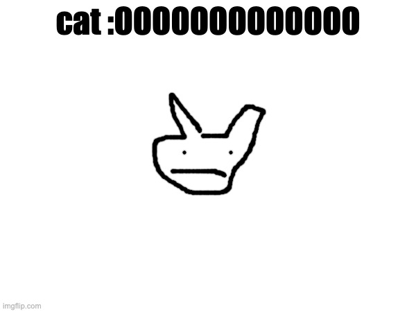 catttt | cat :OOOOOOOOOOOOO | image tagged in memes,funny,funny memes,msmg,memer,fun | made w/ Imgflip meme maker